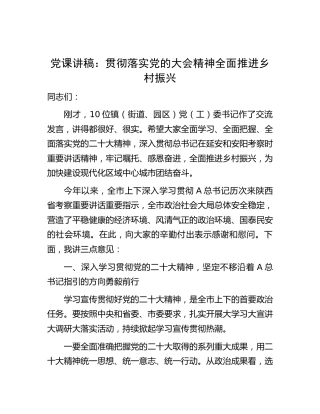 党课讲话：贯彻落实二十大精神 全面推进乡村振兴