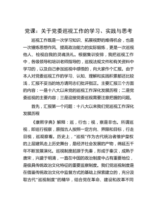 党课：关于巡视工作的学习、实践与思考（巡察）
