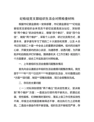 纪检监察组党支部2023年组织生活会对照检查3200字