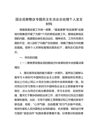 国企公司巡察整改专题民主生活会个人对照检查发言2400字