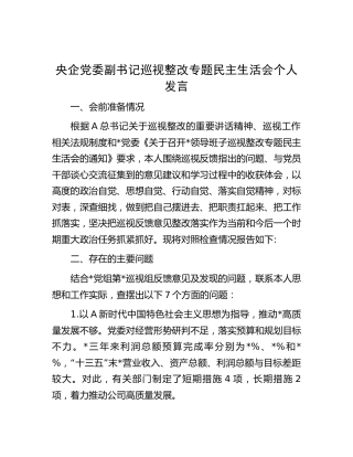 国企公司副书记巡视（巡察）整改专题民主生活会个人对照检查发言2900字