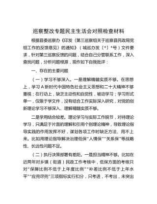 副局长巡察整改专题民主生活会个人对照检查3200字