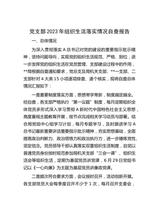 党支部2023年组织生活落实情况自查报告1500字