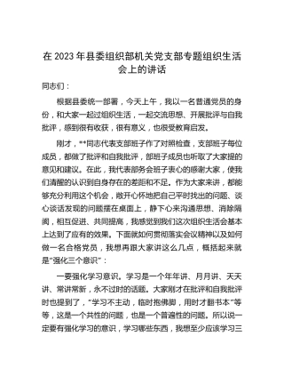2023年组织部党支部专题组织生活会上的讲话2800字