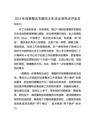 2023年巡察整改专题民主生活会领导点评发言1300字