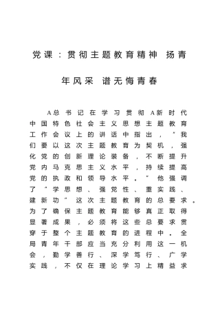 党课：贯彻主题教育精神 扬青年风采 谱无悔青春2900字