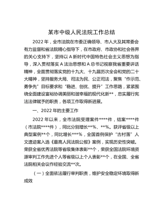 中级人民法院工作总结8100字