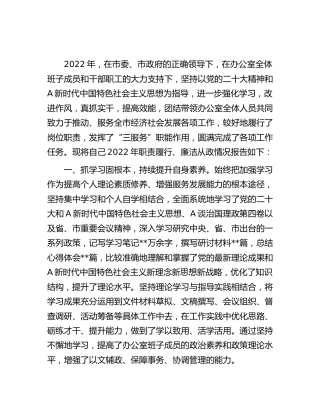 政府办主任2022年度述责述廉报告