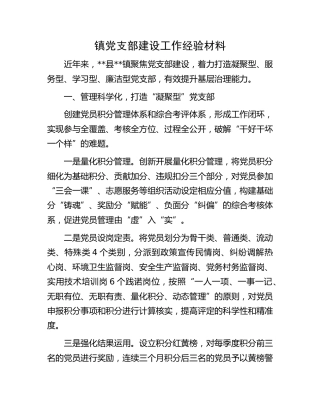 镇党支部建设工作经验材料