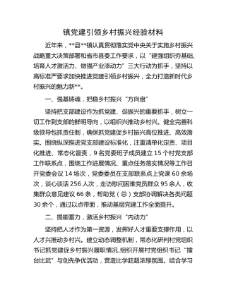 镇党建引领乡村振兴经验材料
