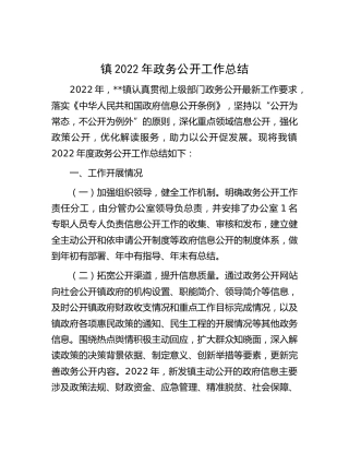 镇2022年政务公开工作总结