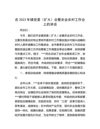 在2023年乡镇党委（扩大）会暨农业农村工作会上的讲话