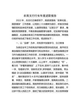 银行支行行长年度述职报告
