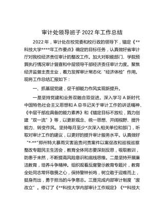 学校审计处领导班子2022年工作总结