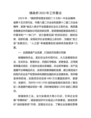 乡镇2023年工作要点2