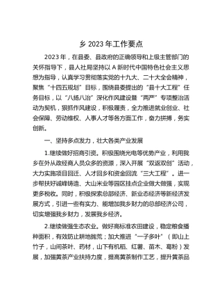 乡镇2023年工作要点