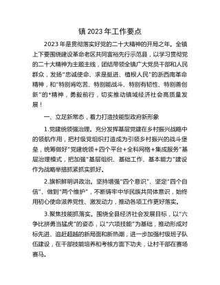 乡镇2023年工作要点 (2)