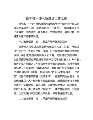 县年轻干部队伍建设工作汇报