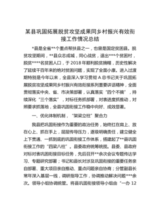 县巩固拓展脱贫攻坚成果同乡村振兴有效衔接工作情况总结