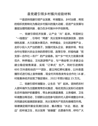 县党建引领乡村振兴经验材料