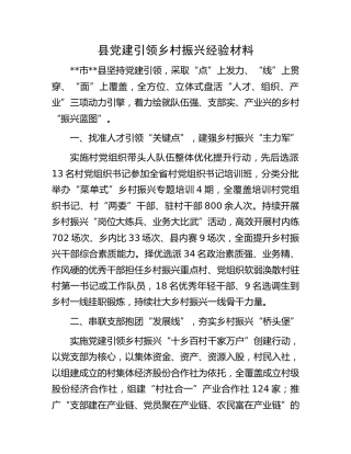 县党建引领乡村振兴经验材料 (2)