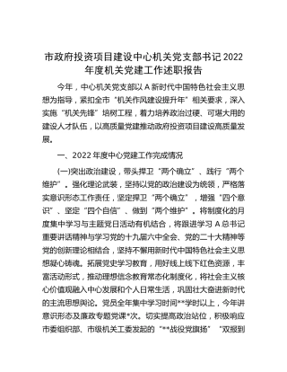 市政府投资项目建设中心支部书记党建工作述职报告