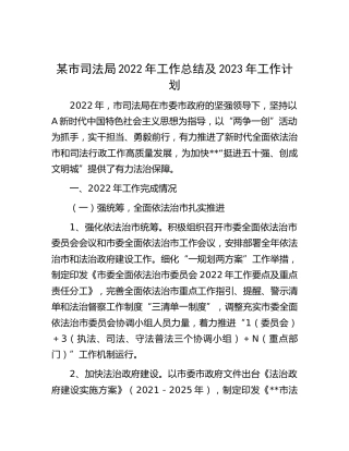 市司法局2022年工作总结及2023年工作计划
