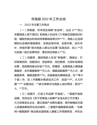 市残联2022年工作总结汇报