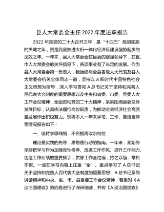 人大主任2022年度述职报告