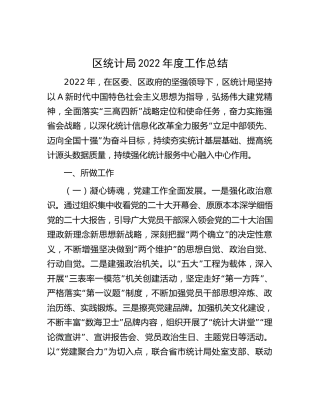 区统计局2022年工作总结（汇报1900字）