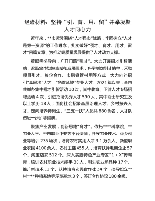 经验材料：坚持“引、育、用、留”并举凝聚人才向心力