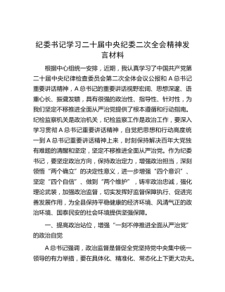 纪委书记学习二十届中央纪委二次全会精神研讨发言