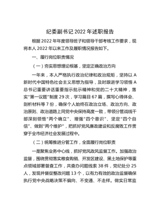 纪委副书记2022年述职报告3400字