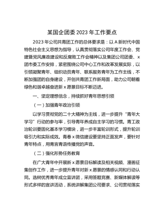国企公司团委2023年工作要点（计划）