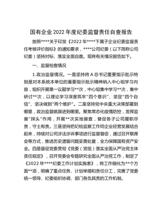 国企公司2022年度纪委监督责任自查报告