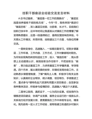 挂职干部座谈会经验交流发言材料 (2)