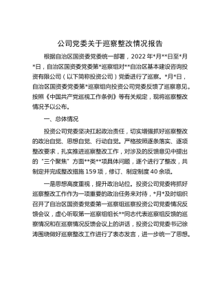 公司党委巡察整改情况总结报告14000字