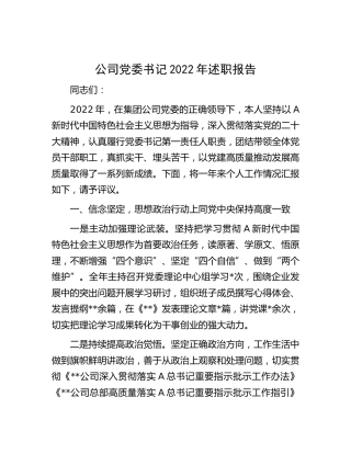公司党委书记2022年述职报告4000字