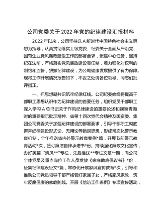 公司党的纪律建设总结汇报
