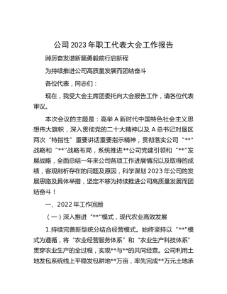 公司2023年职代会工作报告（2022工作总结）