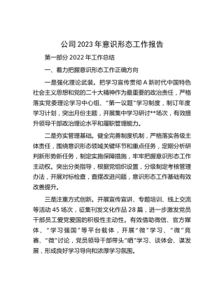 公司2023年意识形态工作报告3000字