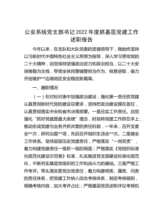 公安系统支部书记2022年度抓党建工作述职报告2400字