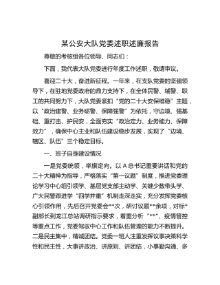 公安大队党委述职述廉报告5100字