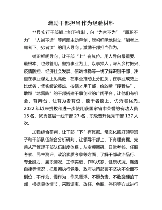 干部担当作为经验材料