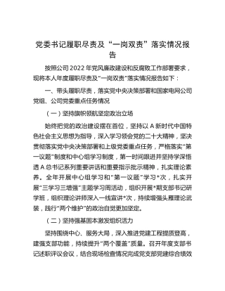 党委书记履职尽责及“一岗双责”落实情况报告3300字