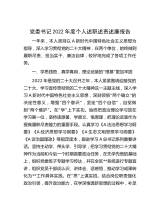 党委书记2022年度个人述职述责述廉报告3600字