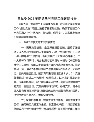 党委2022年度抓基层党建工作述职报告3600字
