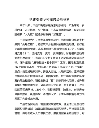 党建引领乡村振兴经验材料