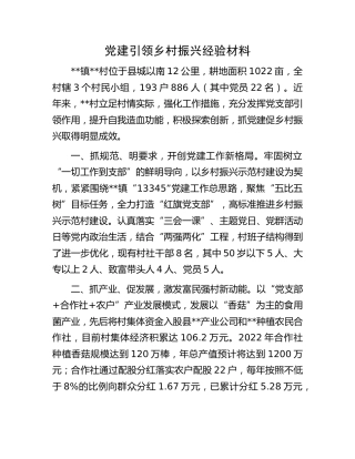 党建引领乡村振兴经验材料 (3)