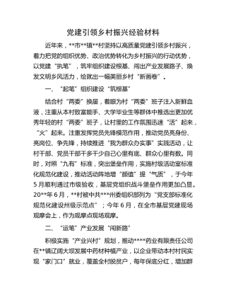 党建引领乡村振兴经验材料 (2)